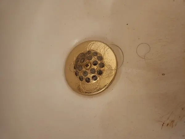 hair-in-shower-drain